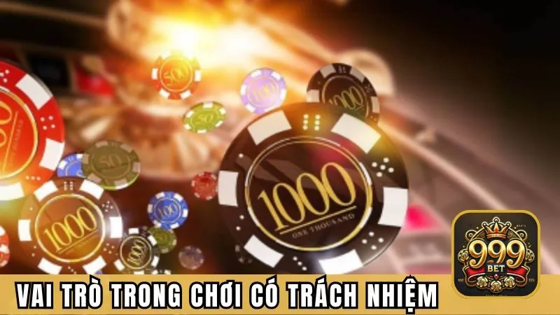Vai trò của người dùng đối với chơi game có trách nhiệm